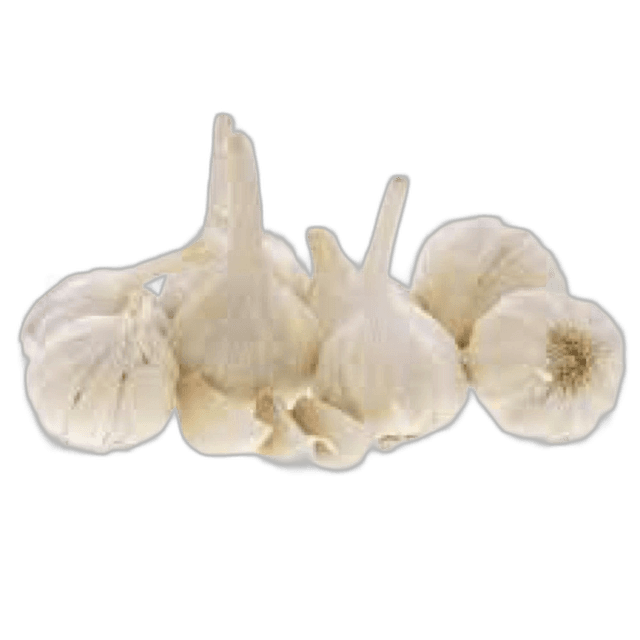 Indian Garlic