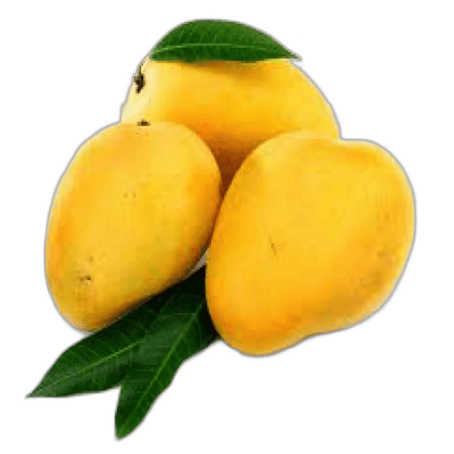 Mango Mabruka Egypt