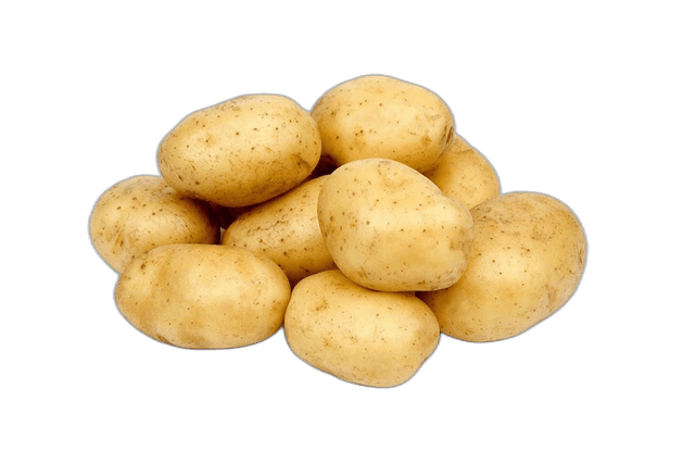 Potato Lebanon per kg