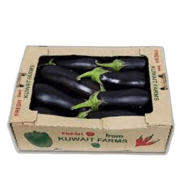 Kuwait Egg Plant Box