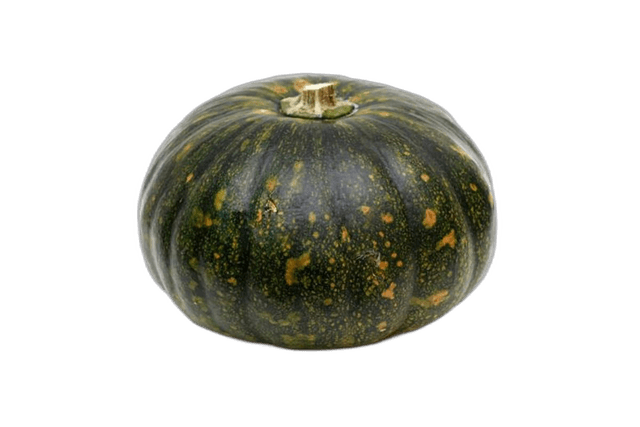 Green Pumpkin Kuwait
