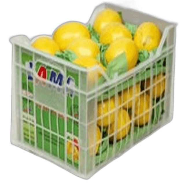Lemon M/Basket