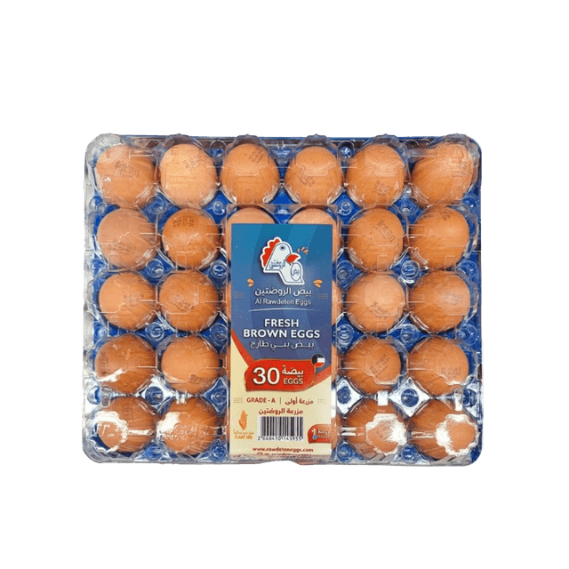 Al Rawdeten Brown Egg Plastic Tray 50/60 30 Pack