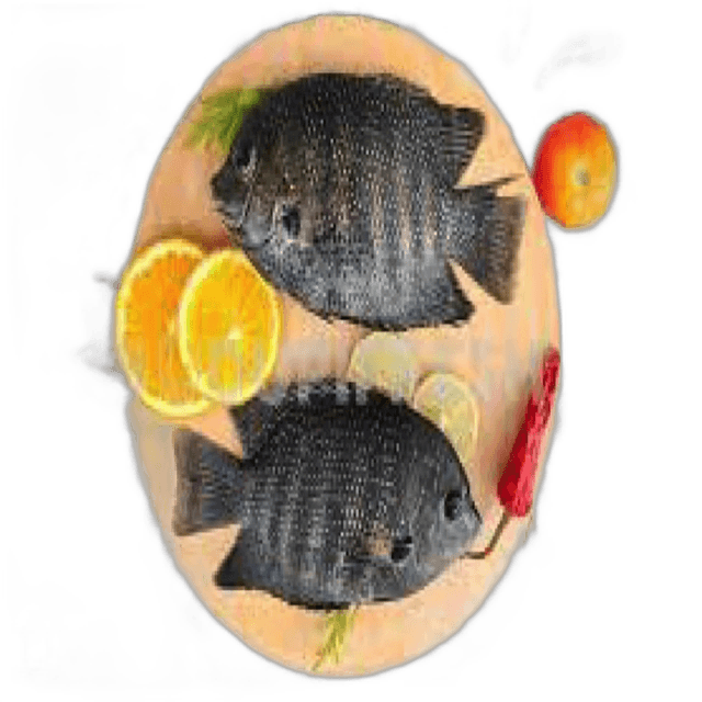 Karimeen per kg