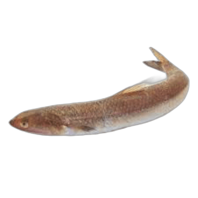 Makroni Veltan per kg