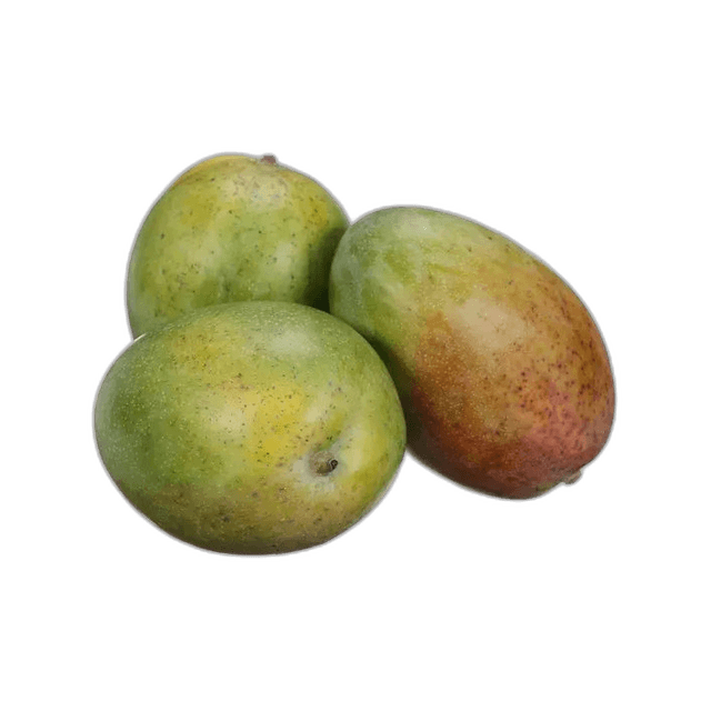 Mango Keitt Egypt 1 kg