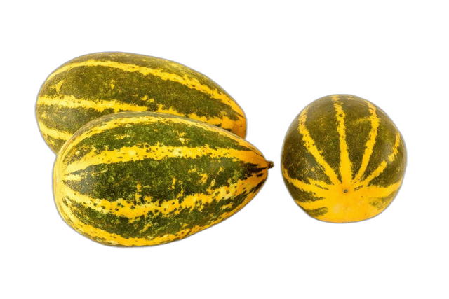 Yellow Cucumber (Vellery) India 1 kg