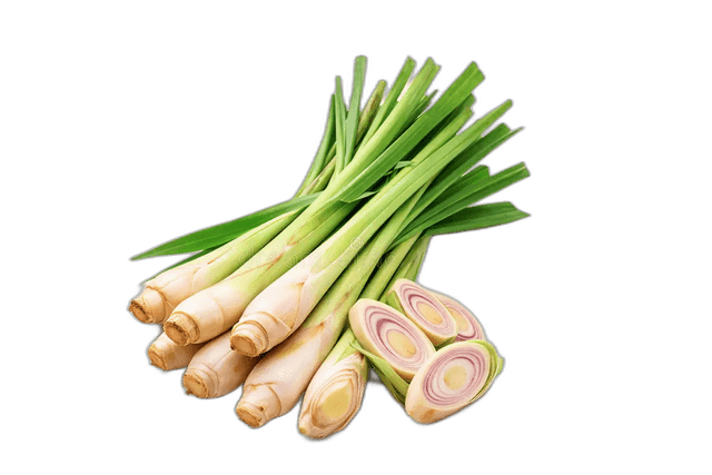 Lemon Grass Thailand 100 g