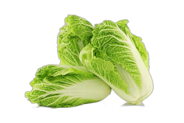 Lettuce Romaine Kuwait 1 kg