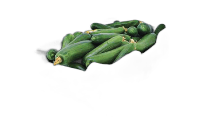 Cucumber Box