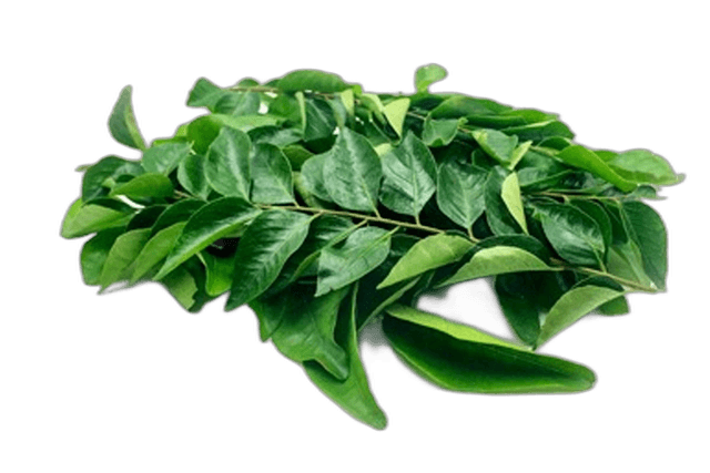 Curry Leaves Pieces