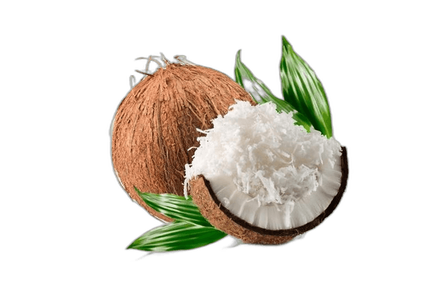 Coconut Scrapped India Pieces