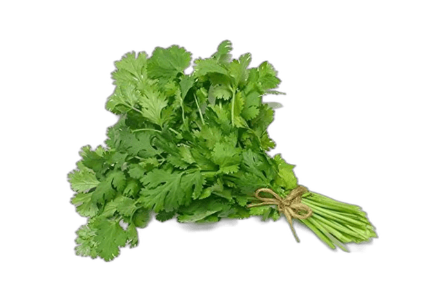 Coriander Leaves Pieces