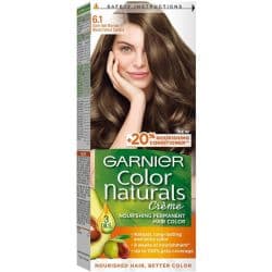Garnier Color Dark Ah Blonde Hair Color 6.1