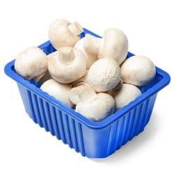 White Mushroom Oman