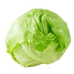 Iceberg Lettuce - Jordan