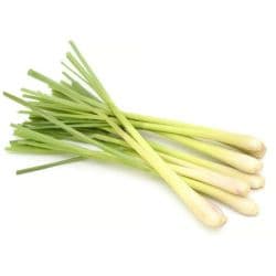 Lemon Grass Thailand