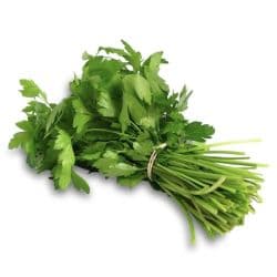 Coriander Leaves Kuwait