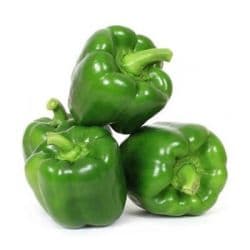 Capsicum Jordan (Box)