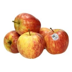 Red Gala Apple Chile