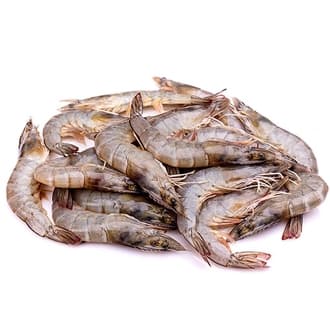 Shrimp (Jumbo) Iran