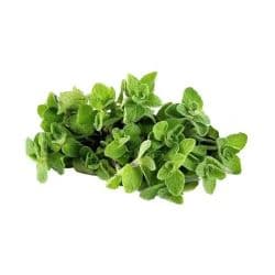 Herbs Thyme Wild green Zoubai Small Box