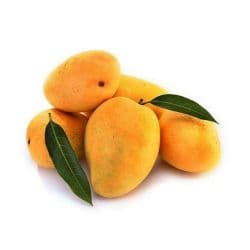Alphonso Mango India