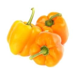 Orange Capsicum Holland