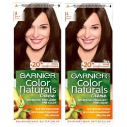 Garnier Color Naturals No. 4 Brown Twin Pack