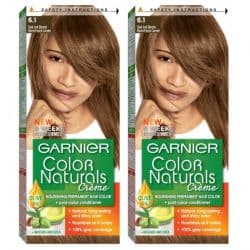 Garnier Color Naturals No. 6.1 Dark Ash Blonde Hair Color Twin Pack