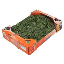 green Thyme Lebanon