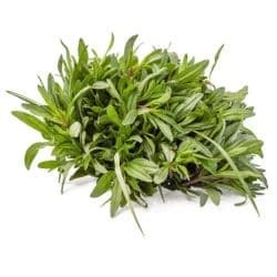Lama Herbs Thyme Wild green (Zoubai) Mini Box