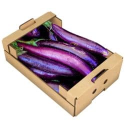 Eggplant Long