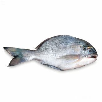 Black Seabream Whole Fish Turkey