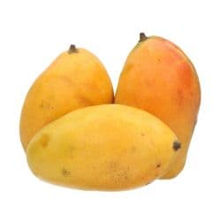 Timoor Mango Yemen