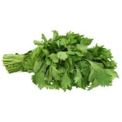 Earth Celery