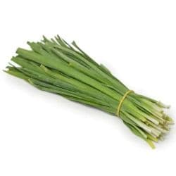 Earth Shallot Leave
