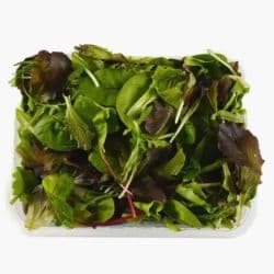 Natureland Baby Leaf Mix