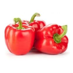 Capsicum Red Jordan 