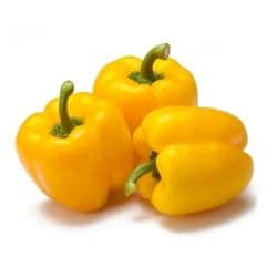 Capsicum Yellow Jordan