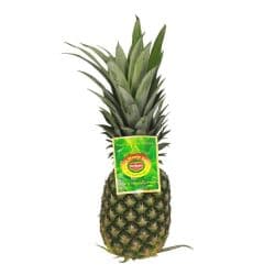 Pineapple Kenya