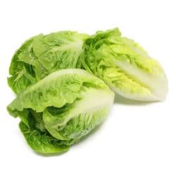 Natureland Mini Romaine Lettuce