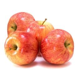 Gala Apple Ukraine