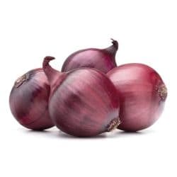 Onion Red Turkey