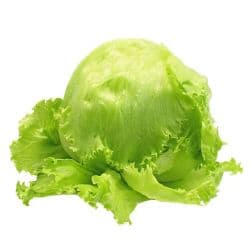 Iceberg Lettuce