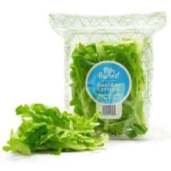 Pure Harvest Oakleaf Lettuce