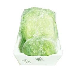 Iceberg Kuwaiti Box