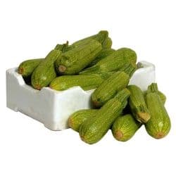 Zucchini Saudi