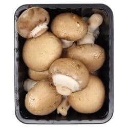 Mushroom Brown (Pack)