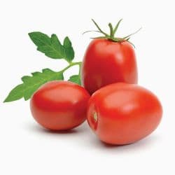 Dava Roma Plum Tomato